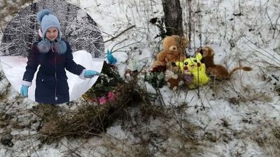 Собаки загризли дочку зрадника: Забужко розповіла про льотчика, який бомбив дітей у Сирії